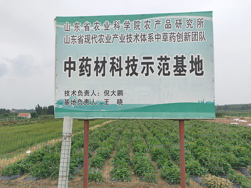中藥材科技示范基地